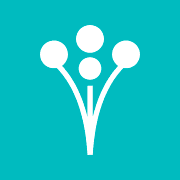 WeddingWire
